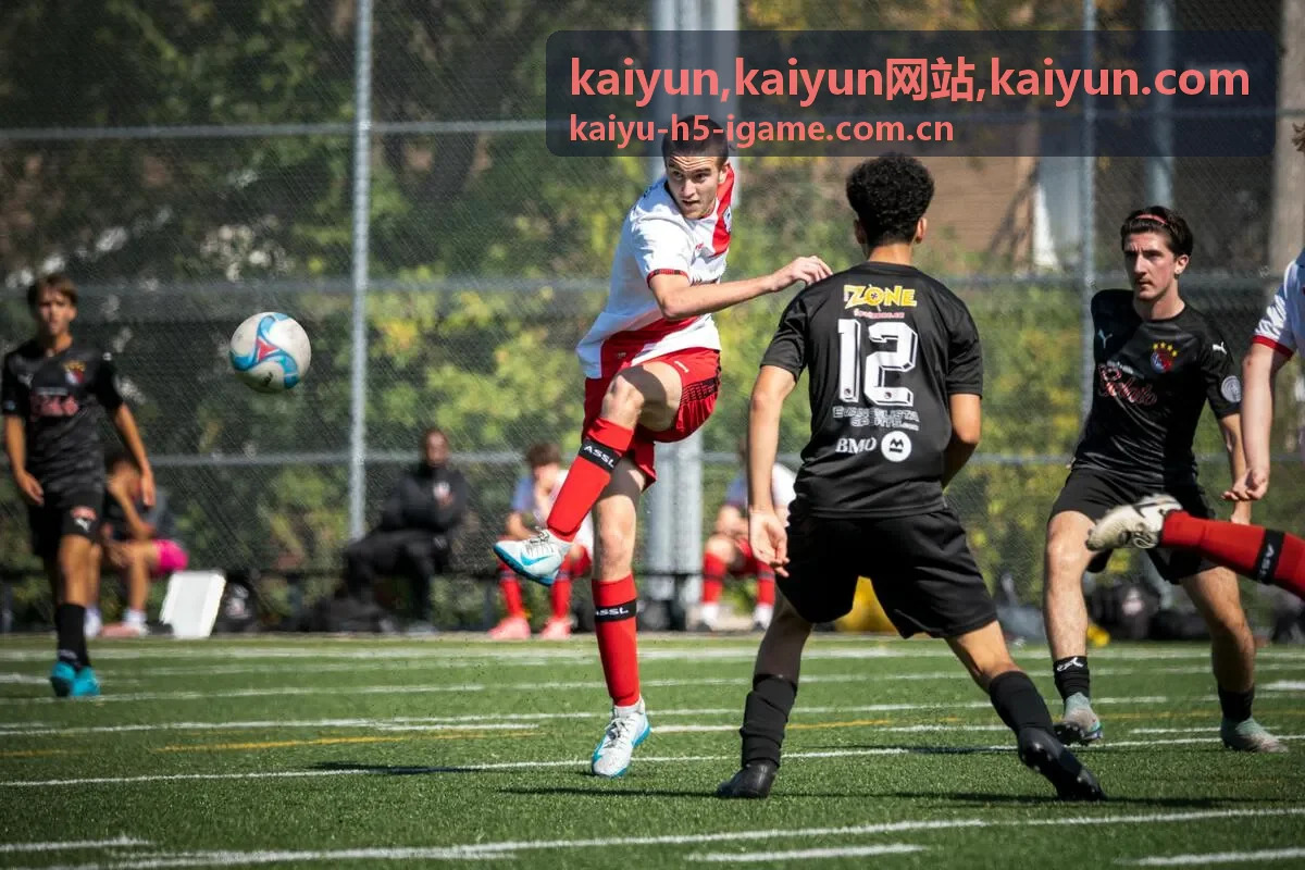 kaiyun网站 kaiyun.com 中文品牌展示界面